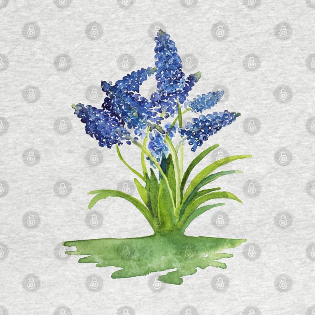 Grape Hyacinths by Kirsty Topps